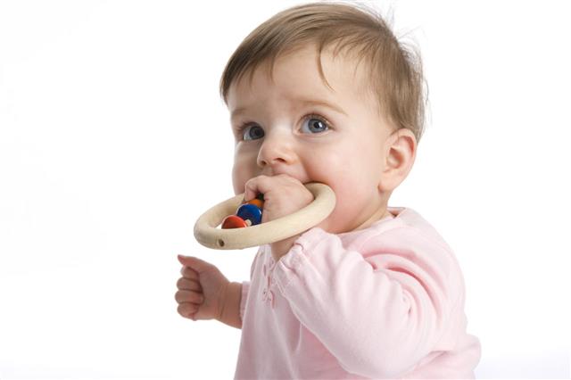 Baby Girl Biting Teething Ring