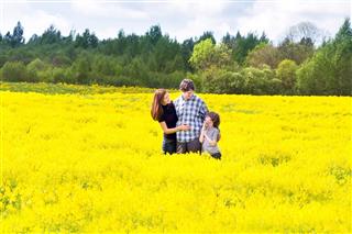 Happy young family in a field of yellow flowers