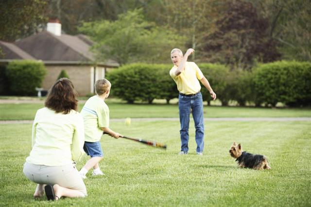 Family playing baseball in the garden