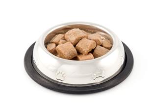 Bowl Of Dog Food