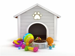 House Food And Toys For Dog