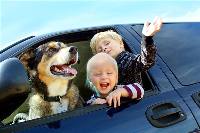 Happy Children And Dog In Minivan