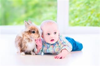 Beautiful Baby And Bunny