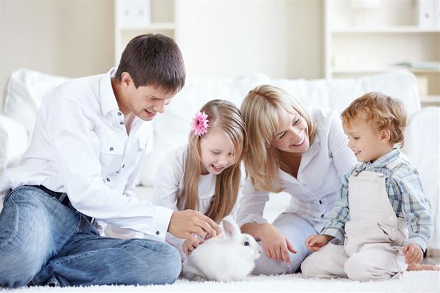 Bunny with a Family