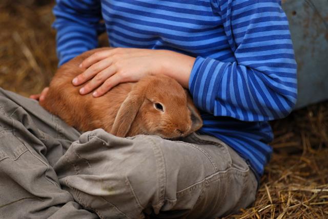 Child With Bunny