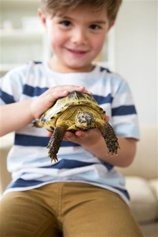 Little Boy With His Pet Tortoise