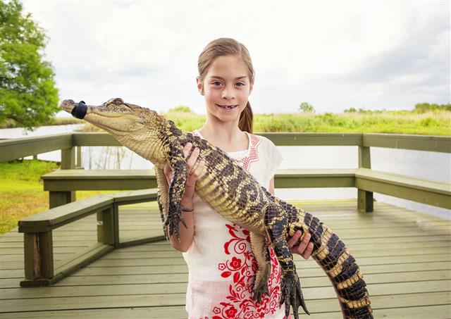 Cute Girl Holding A Crocodile