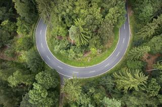 Road Curve In The Forest Aerial View