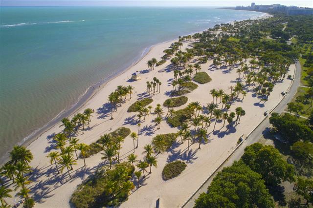 Aerial Image Tropical Beach