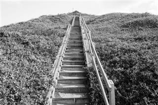 Stairs Hillside Black White