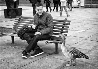 Man And Goose