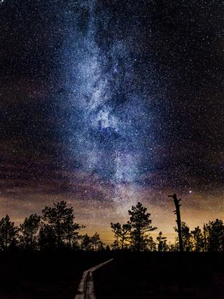 Cold Milkyway