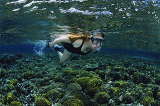 Young Girl Snorkeling