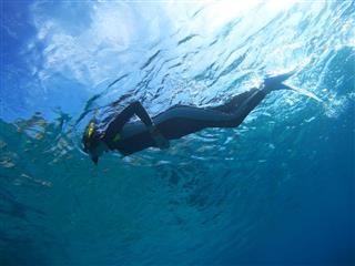 Diver In Deep Blue Sea