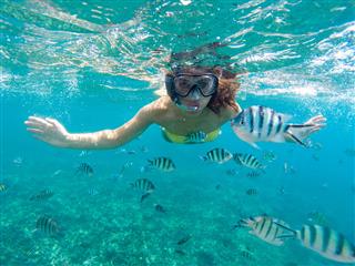 Young Woman Snorkeling