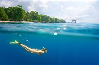 Snorkeling In Clear Tropical Waters