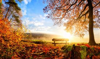 Gorgeous Autumn Scenery