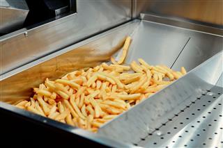 Deep Fryer With French Fries