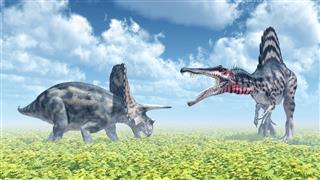 Torosaurus And Spinosaurus