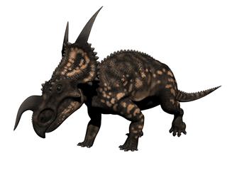 Einiosaurus Dinosaur