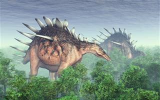 Dinosaur Kentrosaurus