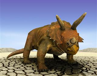 Triceratops Dinosaur In Jurassic Scene