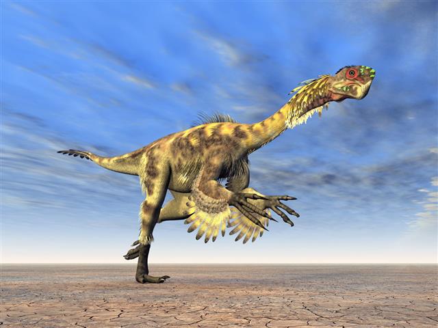 Dinosaur Citipati