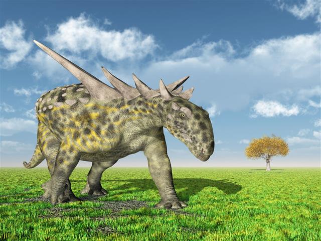 Dinosaur Sauropelta