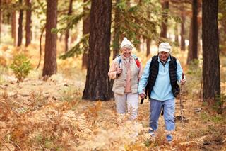 Senior Couple Hiking In Forest