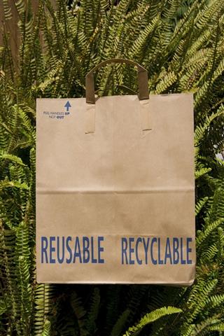 Recyclable Grocery Bag