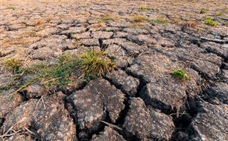 Land With Dry And Cracked Ground