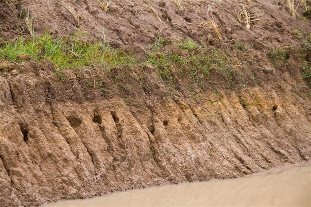 Erosion Of Soil