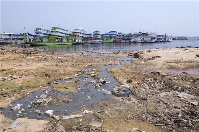 Polluted Shore Of Rio Negro