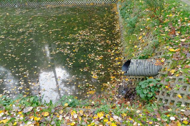 Pipe In Contaminated Pond