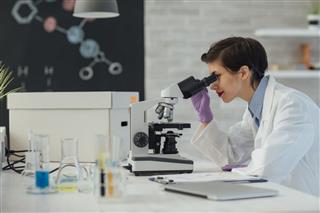 Researcher Using Microscope In Her Lab