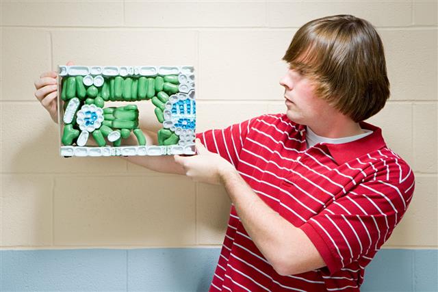 Student Holding A Model Of Plant
