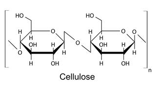 The Structural Formula Of Cellulose Polymer