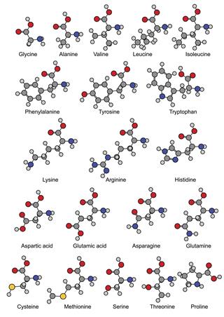 Structural Chemical Formulas Of Amino Acids