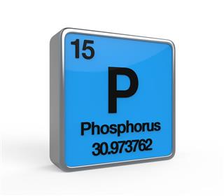 Phosphorus Element Periodic Table
