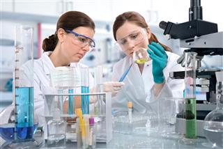 Women Working With Equipment In Laboratory