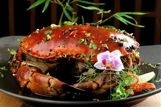 Singapore Style Pepper Sauce Crab