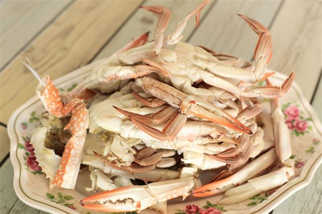 Steamed Crab Seafood Recipe