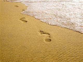 Footprints at the beach
