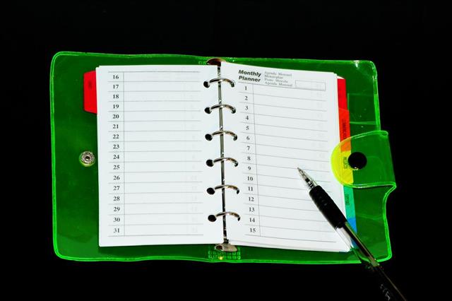Organizer and pen