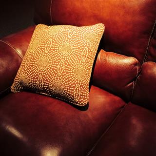 Red leather sofa with cushion