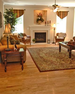 Living Room In Home Interior