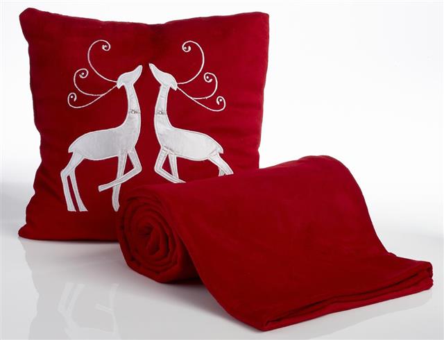 Red cushion and throw blanket
