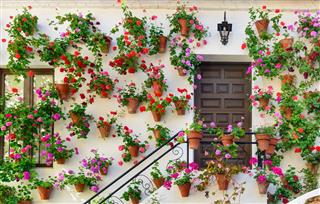 Wall Decorations Of Flowers In Cordoba