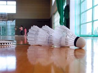 Badminton Indoor