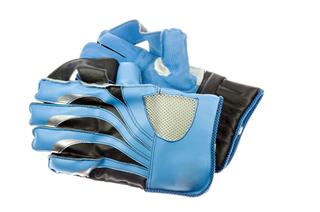Wicket Keeper Gloves